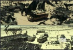 ???在面對一大波僵尸時，克萊爾帶著大家團隊協(xié)作，救己救人。她成立了卡車護衛(wèi)隊，通過無線電把隊員們串聯(lián)起來以便快速溝通，成功在艾莉絲的掩護下逃脫食人鴉的攻擊。在途經拉斯維加斯時，車隊遭遇大量感染者突襲，但是在幾無生存幾率的情況下，她依舊帶領大家不斷突圍，最終通過艾莉絲的幫助，利用直升機成功救下部分隊員，成功逃生。