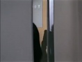 青春戀