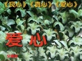 爱心