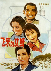 飛來(lái)的女婿
