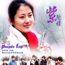 紫陀螺