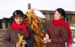 兩個(gè)裹紅頭巾的女人