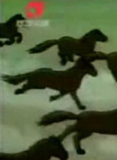 奇異的蒙古馬