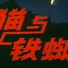 神貓與鐵蜘蛛