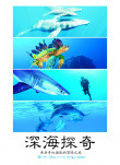 深海探奇