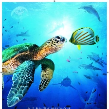 深海探奇