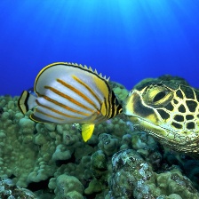 深海探奇
