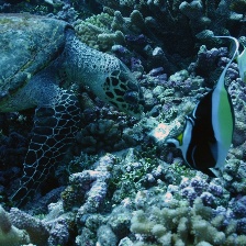 深海探奇