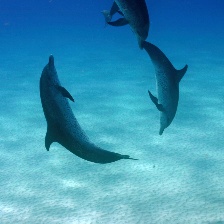 深海探奇