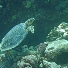 深海探奇