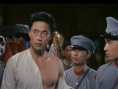 血淚情仇