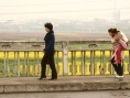 血蟬
