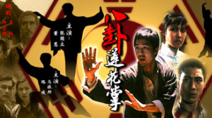 八卦莲花掌