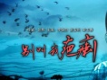 别叫我疤痢