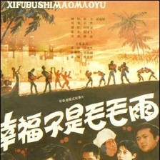 幸福不是毛毛雨