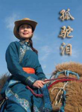 孤驼泪