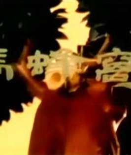马蜂窝