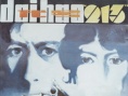 代号213