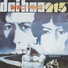 代號213