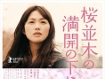 盛開的櫻花樹下