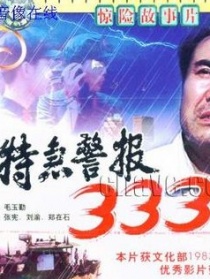特急警报333