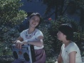 莺燕桃李