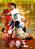 小拳王