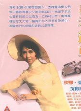 迷你老爺車