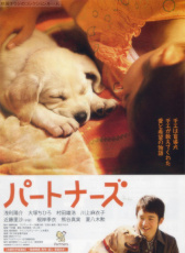 陪伴