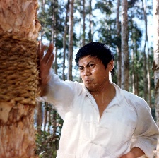 天下第一拳
