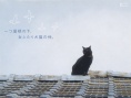 犬貓