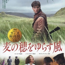 風吹麥浪