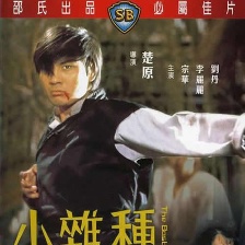 小雜種