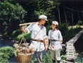 心动岁月