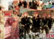霹雳凤凰