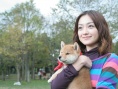 豆柴小犬