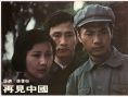 再見中國
