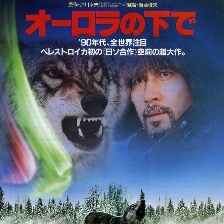 極光下