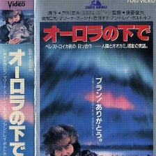 極光下