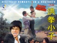 洪拳小子