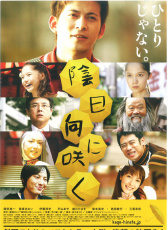背陰盛放