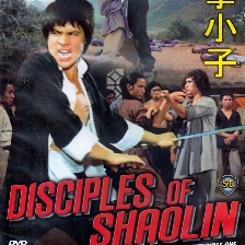 洪拳小子