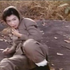 怒火威龍