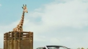 《宿醉3》中文宣传片 随意买下长颈鹿疯魔成性