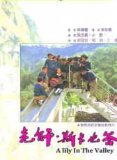 老師，斯卡也答
