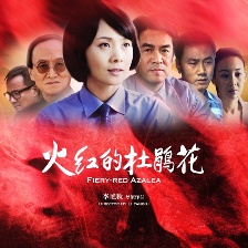 火紅的杜鵑花