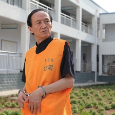 火紅的杜鵑花