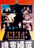 蕩婦冤魂