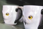 穿過(guò)三把掃帚酒吧就是“貓頭鷹屋”（Owlery），這里是貓頭鷹郵政（Owlery Post）的郵遞員們休憩的地方。