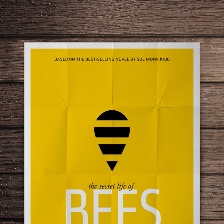 蜜蜂的秘密生活
